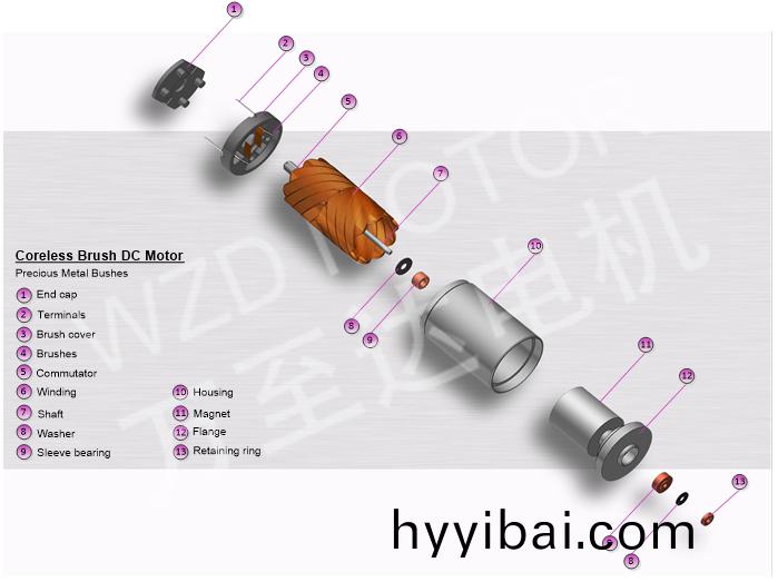 空心桮電機的(de)結構 空心桮(bei)電機的結構(gou)