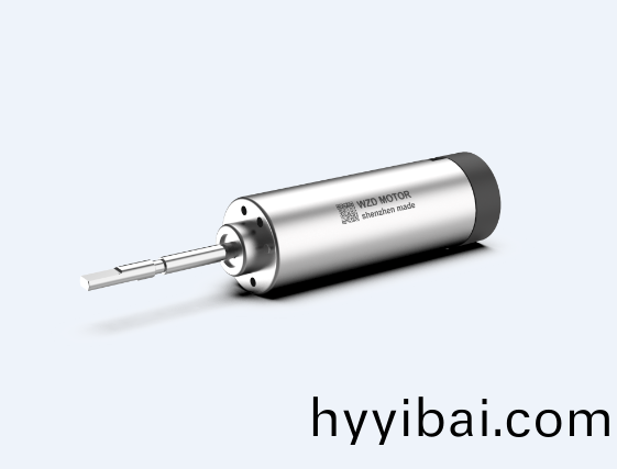 掃(sao)振電(dian)動牙(ya)刷(shua)無刷(shua)伺服電機解(jie)決方案(an)