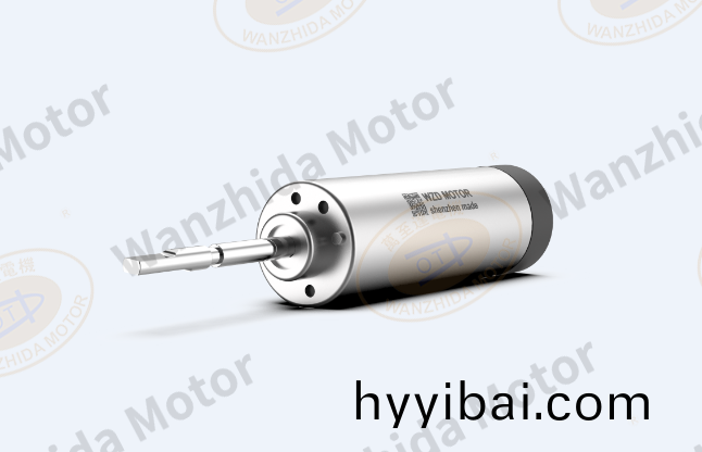 掃振電動牙刷無刷伺服電機解決方案_WZD-EM1745A無刷電機-萬至(zhi)達電機